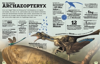 Unsere Welt in Zahlen. Dinosaurier und andere Tiere der Urzeit