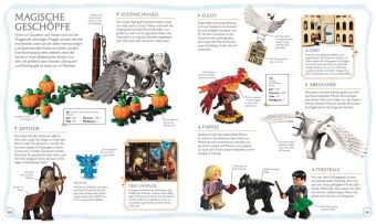 LEGO® Harry Potter(TM) Das magische Lexikon