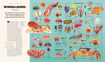 Universum des Wissens
