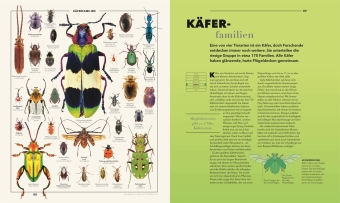 Universum des Wissens