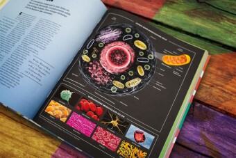 Universum des Wissens