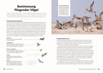 Vögel beobachten und ihre Lebensräume kennenlernen