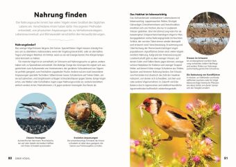 Vögel beobachten und ihre Lebensräume kennenlernen