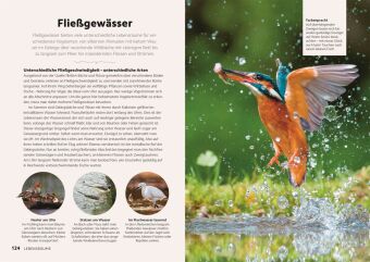 Vögel beobachten und ihre Lebensräume kennenlernen