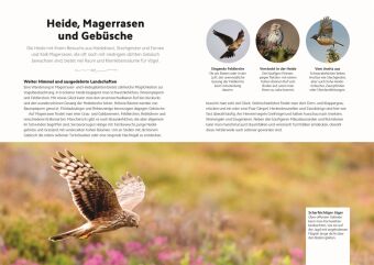 Vögel beobachten und ihre Lebensräume kennenlernen
