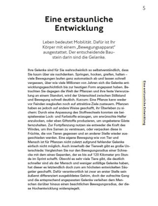Fitte und starke Gelenke