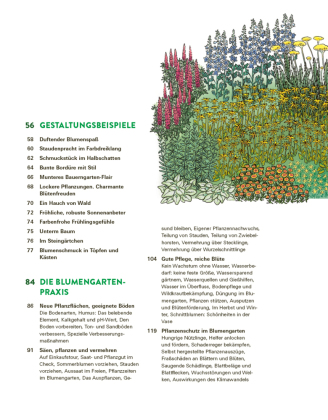 Das große Buch der Stauden und Sommerblumen