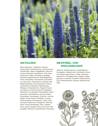 Das große Buch der Stauden und Sommerblumen