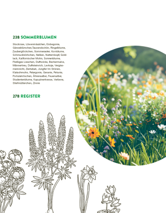 Das große Buch der Stauden und Sommerblumen