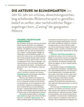 Das große Buch der Stauden und Sommerblumen