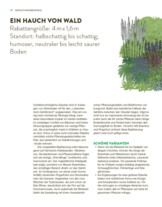 Das große Buch der Stauden und Sommerblumen