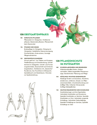 Das große Gemüse- und Obstgartenbuch