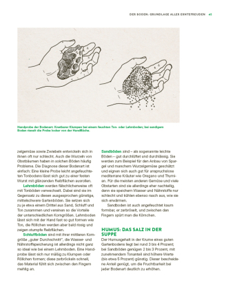 Das große Gemüse- und Obstgartenbuch
