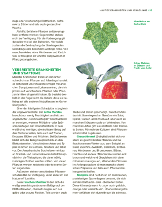 Das große Gemüse- und Obstgartenbuch