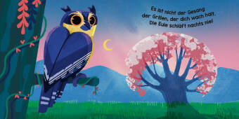 Träume der Wälder 