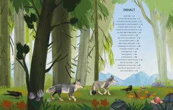 Kleine Geschichten aus der Natur