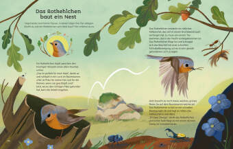 Kleine Geschichten aus der Natur 