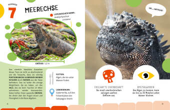 Die krassesten Tiere