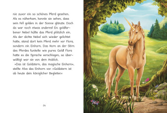 Goldstern. Traumpferd mit Hindernissen 