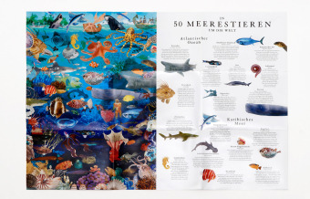 In 50 Meerestieren um die Welt