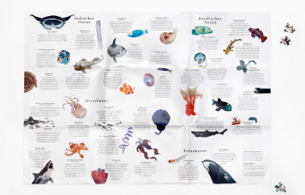 In 50 Meerestieren um die Welt