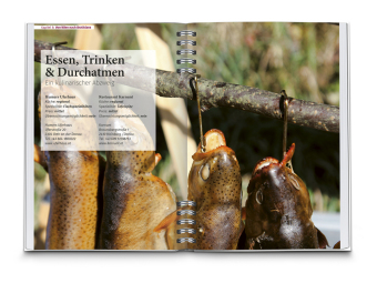 KOMPASS Radreiseführer Donauradweg Österreich 