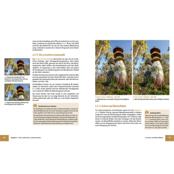 Nikon Z50 II: Das umfangreiche Praxisbuch zu Ihrer Kamera