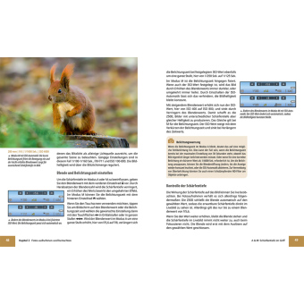 Nikon Z50 II: Das umfangreiche Praxisbuch zu Ihrer Kamera