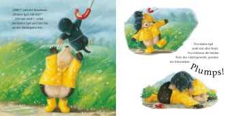 Mit dem kleinen Igel und seinen Freunden durch die Jahreszeiten