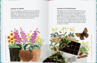Wildblumen pflanzen