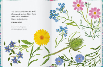 Wildblumen pflanzen