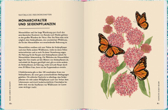 Wildblumen pflanzen