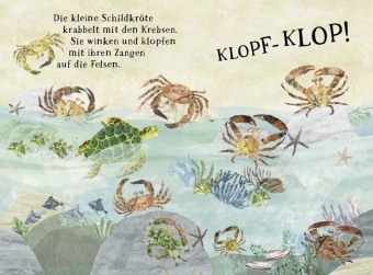 Kleine Schildkröte und das blaue Meer 