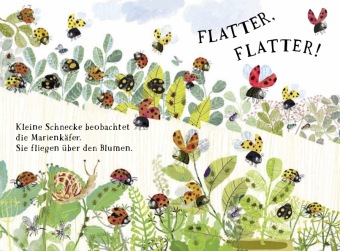 Kleine Schnecke und der Garten
