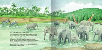 Wo die Tiere leben