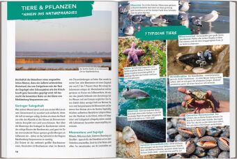 MARCO POLO OUTDOOR GUIDE Reiseführer Ostseeküste Mecklenburg-Vorpommern