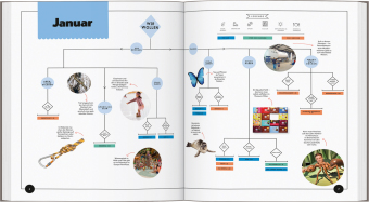 LONELY PLANET Bildband Wann am besten wohin Deutschland mit Kids
