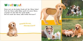 Hör mal rein, wer kann das sein? - Meine ersten Tiere
