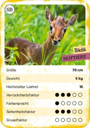 Das verrückte Quartett