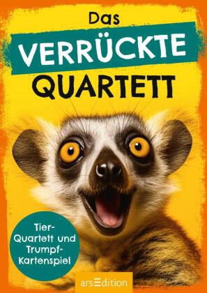 Das verrückte Quartett