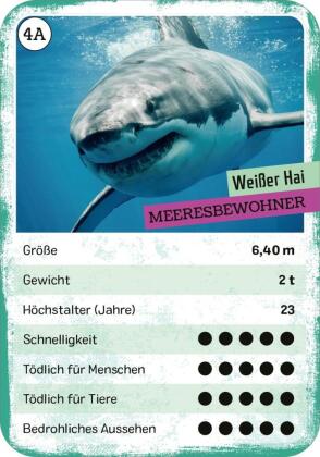 Das tödliche Quartett