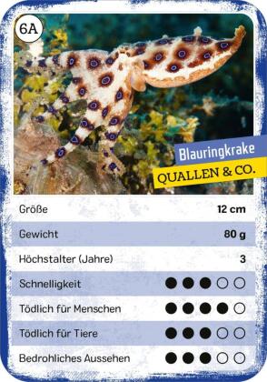 Das tödliche Quartett