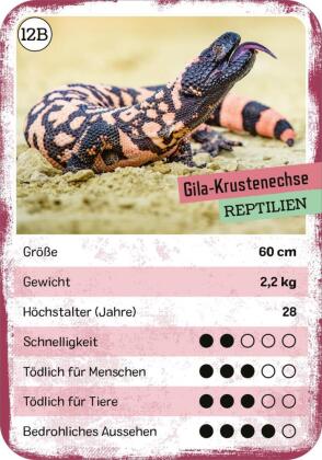 Das tödliche Quartett
