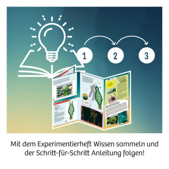 Die Schule der magischen Tiere - Caspar mit magischen UV-Perlen