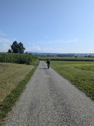 Bodensee mit dem Gravelbike