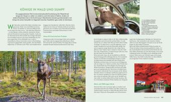 Roadtrips Schweden