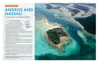 Der ultimative World Diver's Guide