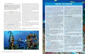 Der ultimative World Diver's Guide