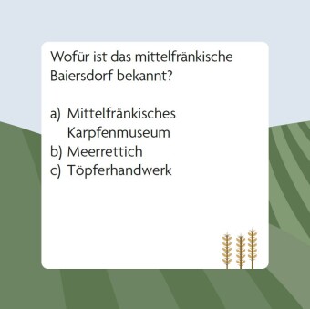 Das Franken-Quiz (Neuausgabe)