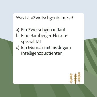 Das Franken-Quiz (Neuausgabe)